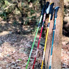 5-Section Foldable Trekking Pole – Lightweight Telescopic Hiking & Walking Stick with Carbon Steel Shaft and Foam Grip